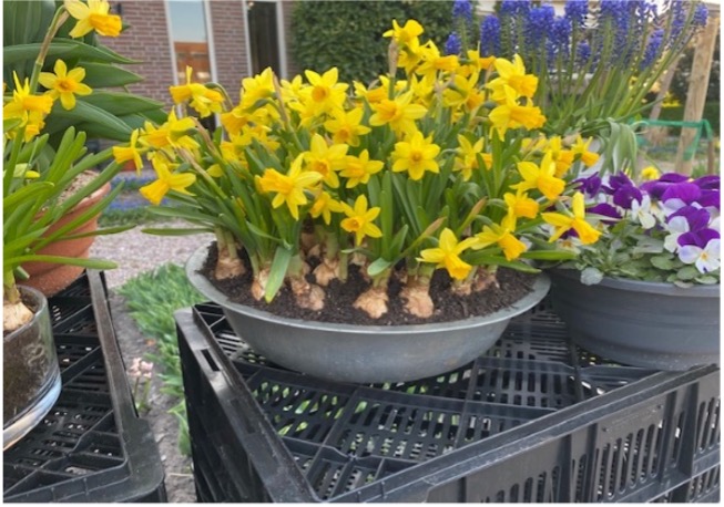 Extra Tete a Tete actie van 15 tot en met 19 april