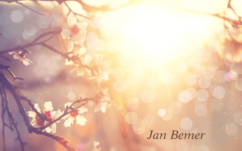 Overleden ... Jan Bemer